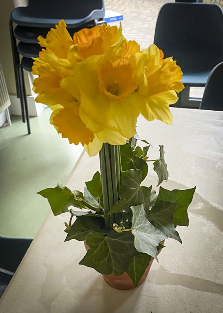 Photo of arranged flowers on table top