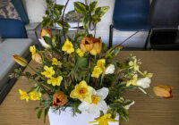 Photo of arranged flowers on table top