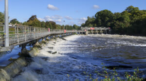 Windsor u3a Amblers walk in October 2024