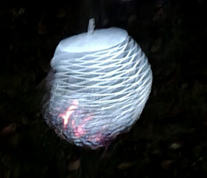 Burning wire wool in bird feeder